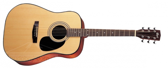 Cort AD 880 NS - akustická gitara