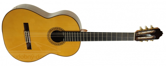 ESTEVE 8 (smrk) - klasická kytara ESTEVE 8 (smrk) - klasická kytara