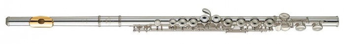 Yamaha YFL 312GL - příčná flétna