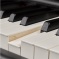 YAMAHA P 515 B - prenosné digitálne piano
