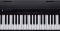 Roland GO: PIANO 88 - klávesy s dynamikou