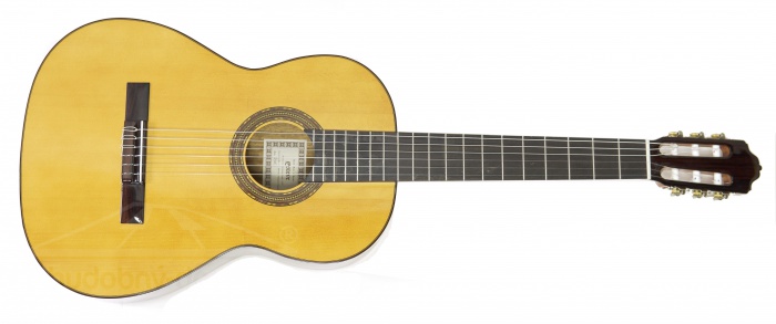 Francisco Esteve model 4 ST smrk - kytara španělka