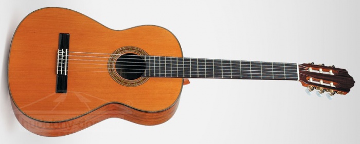 ESTEVE 7SM (cedr) - klasická kytara ESTEVE 7SM (cedr) - klasická kytara