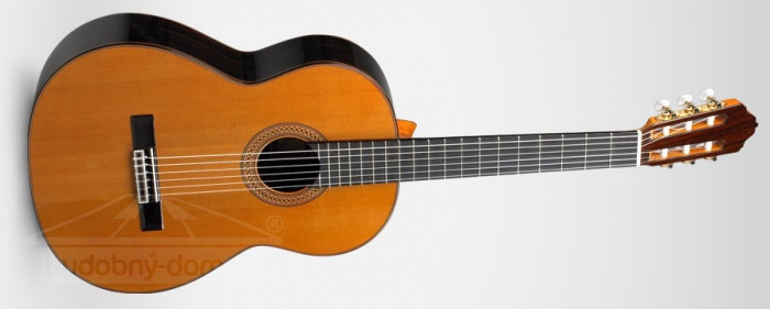 ESTEVE 9 C/B (cedr) - klasická kytara ESTEVE 9 C/B (cedr) - klasická kytara
