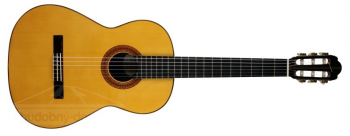 ESTEVE 3E (smrk) - klasická kytara ESTEVE 3E (smrk) - klasická kytara
