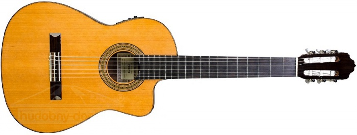ESTEVE 3ECE (smrk) - klasická kytara se snímačem ESTEVE 3ECE (smrk) - klasická kytara se snímačem