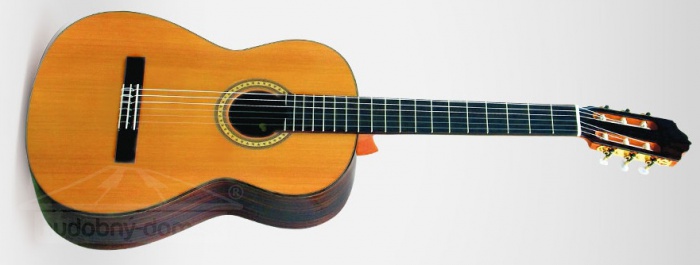 ESTEVE 6PS (cedr) - klasická kytara ESTEVE 6PS (cedr) - klasická kytara