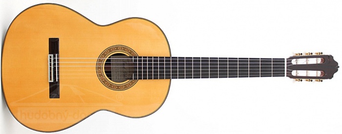 ESTEVE Adalid (smrk) - klasická kytara ESTEVE Adalid (smrk) - klasická kytara