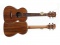 Aiersi SU 076 P - tenorové ukulele s pouzdrem