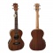 Aiersi SU 076 PAE - elektroakustické tenorové ukulele s pouzdrem
