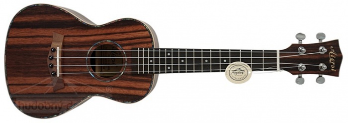 Aiersi SU 204 Ebony - koncertní ukulele s pouzdrem