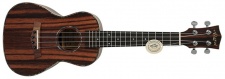 Aiersi SU 204 Ebony - koncertní ukulele s pouzdrem