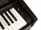 Medeli DP 280K RW - digitální piano