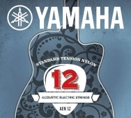 Yamaha AEN 12