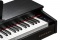 KURZWEIL M 70 SR - digitální piano