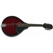Tenson Folk A 1 F505400 - mandolína